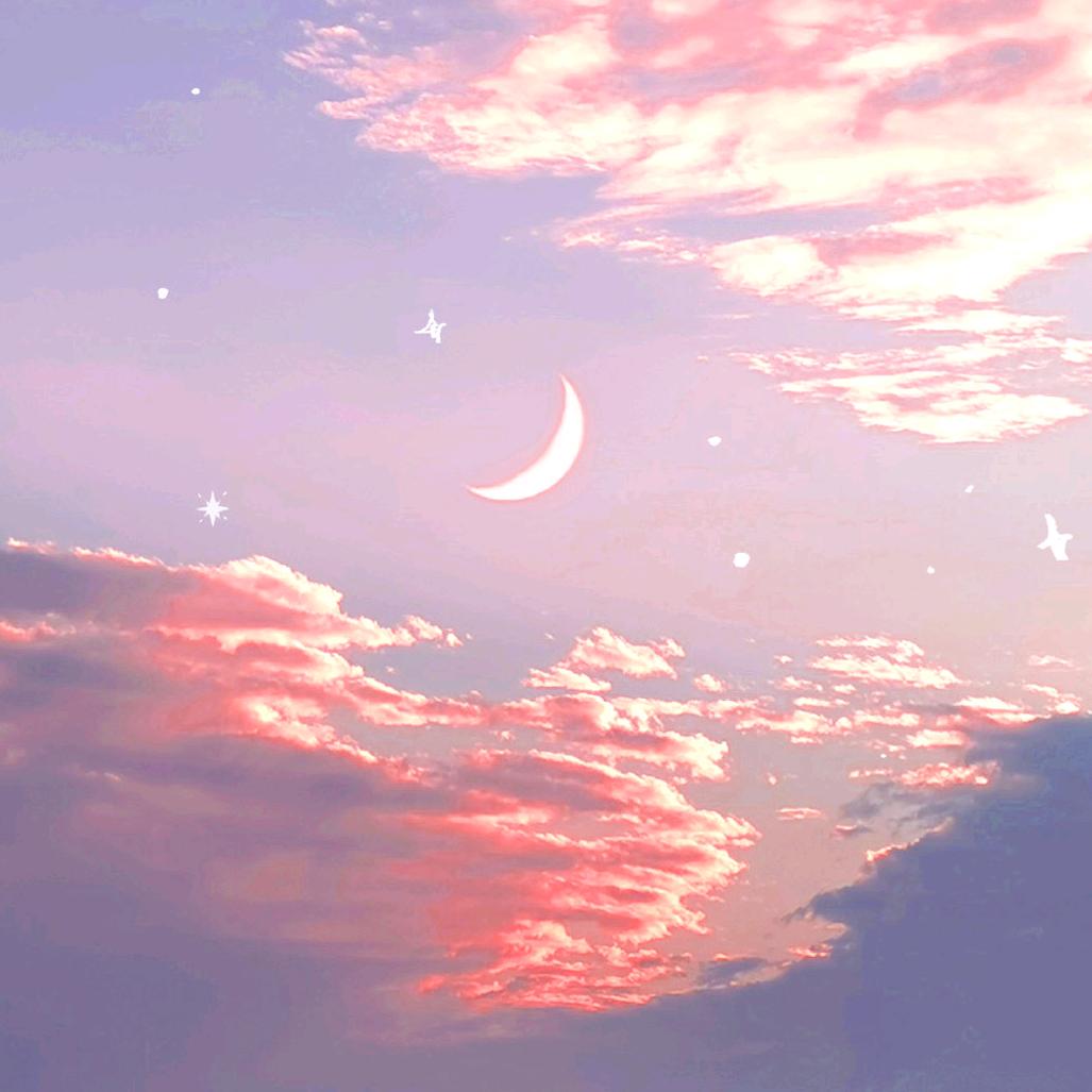 宸🌈
