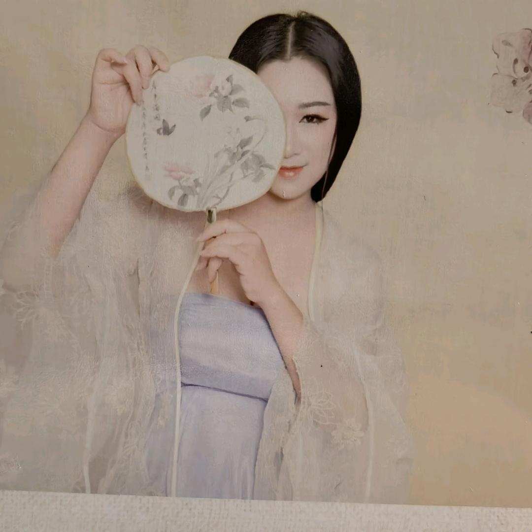 淡菊