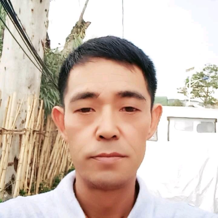 狂枫