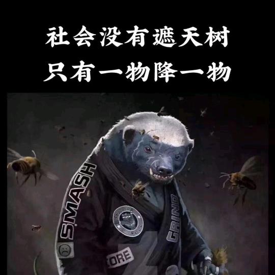 詹（威叔）RDW