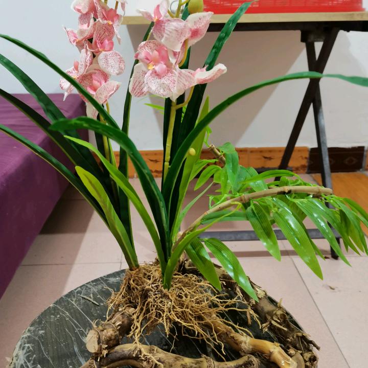 只身天涯