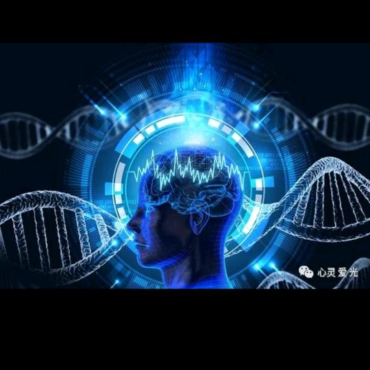 心不狠，站不稳