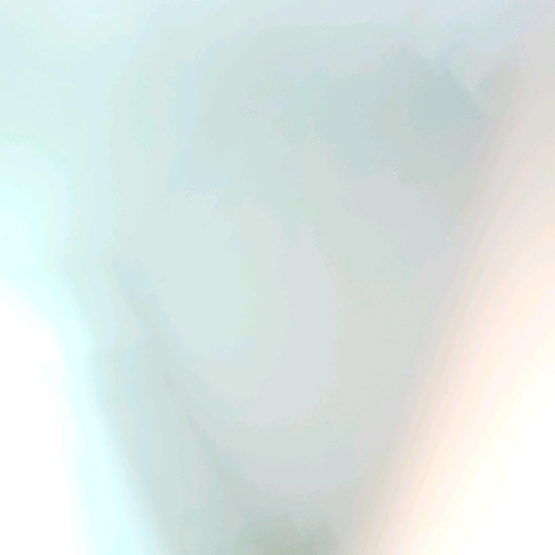 蓓蓓