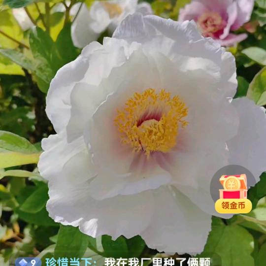 用户，梦梦妍妍灰灰乐乐