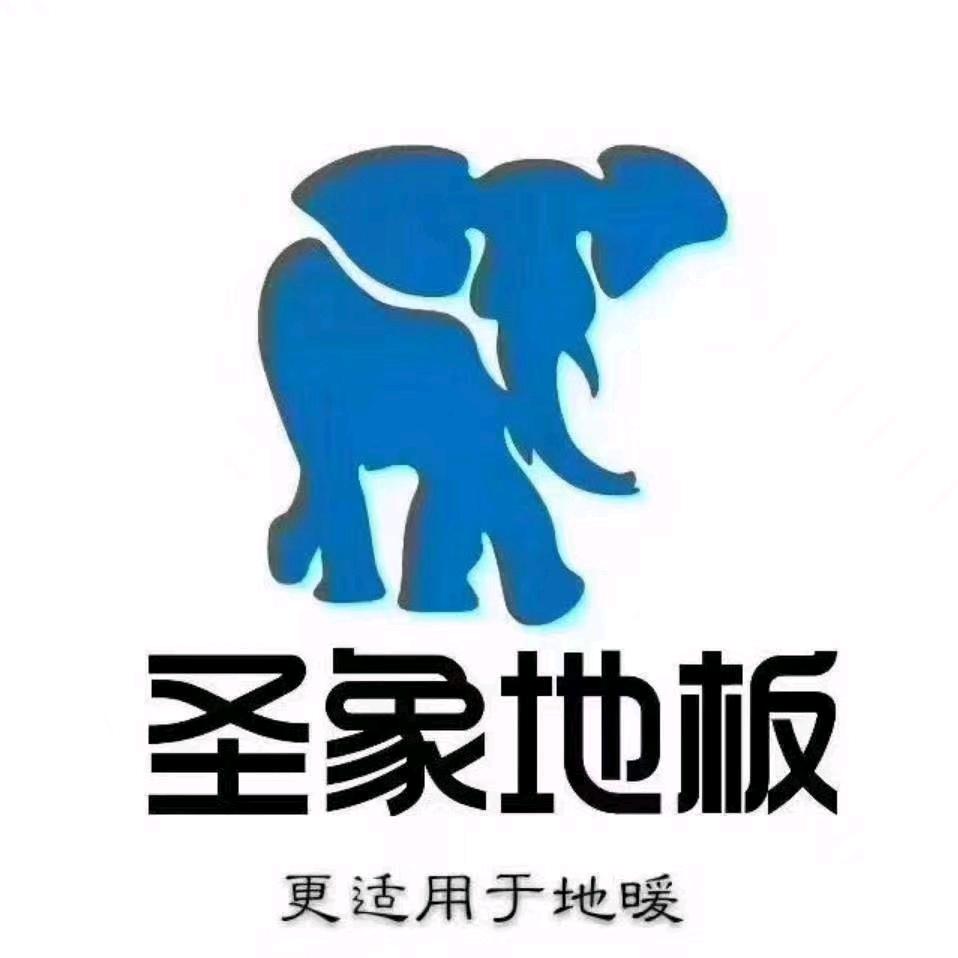 漯河圣象地板,石头自清洁扫地机器人