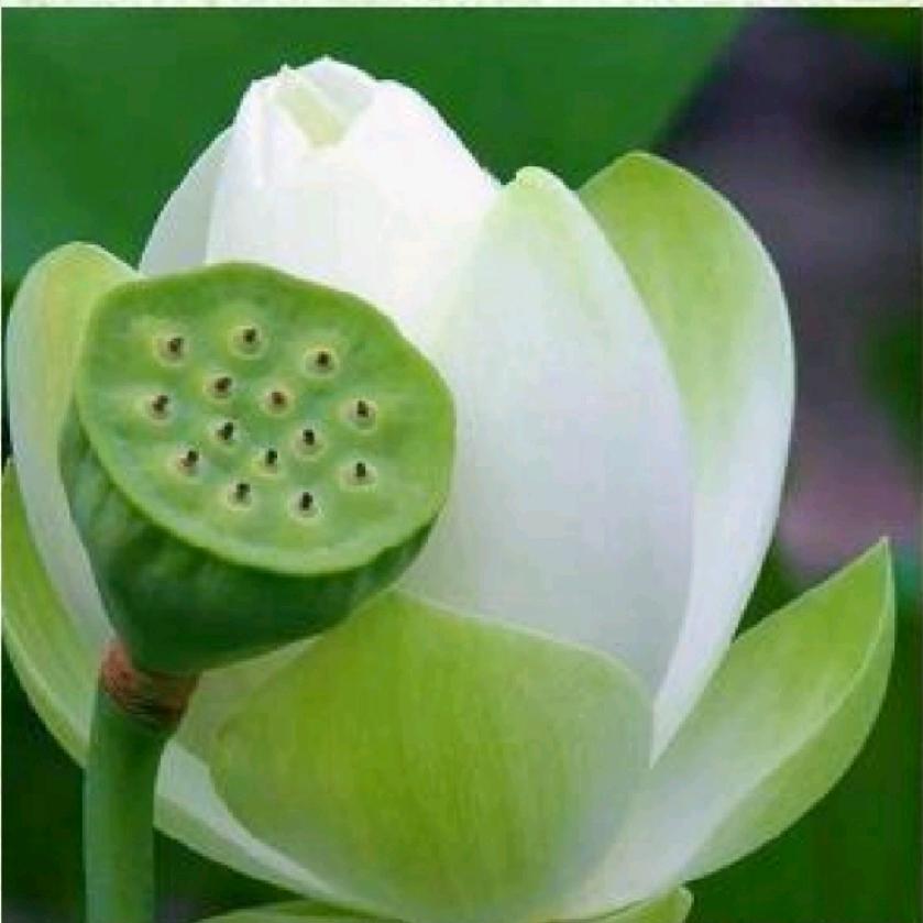 🍀梦山梦水梦少年🍀