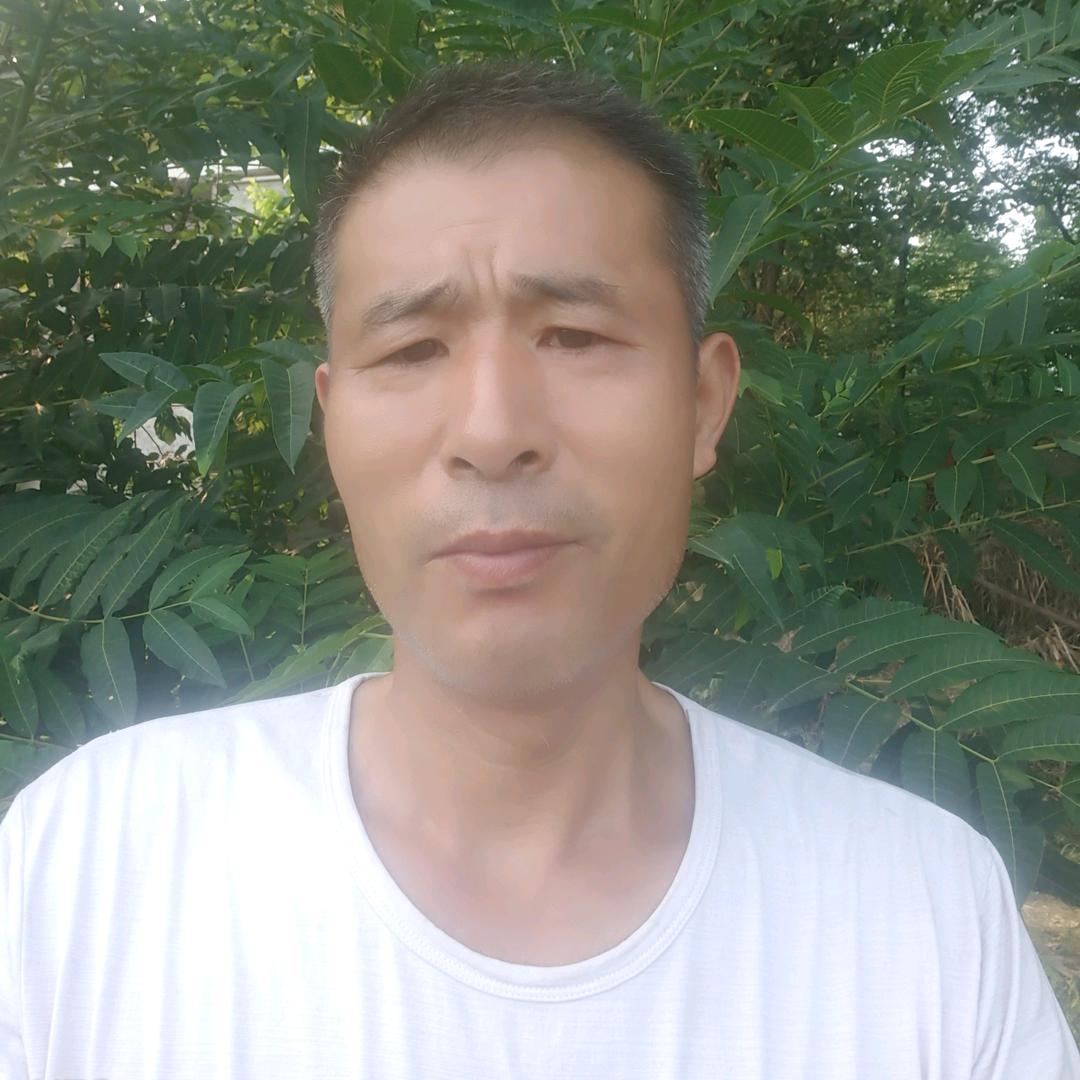 荷之善长宏
