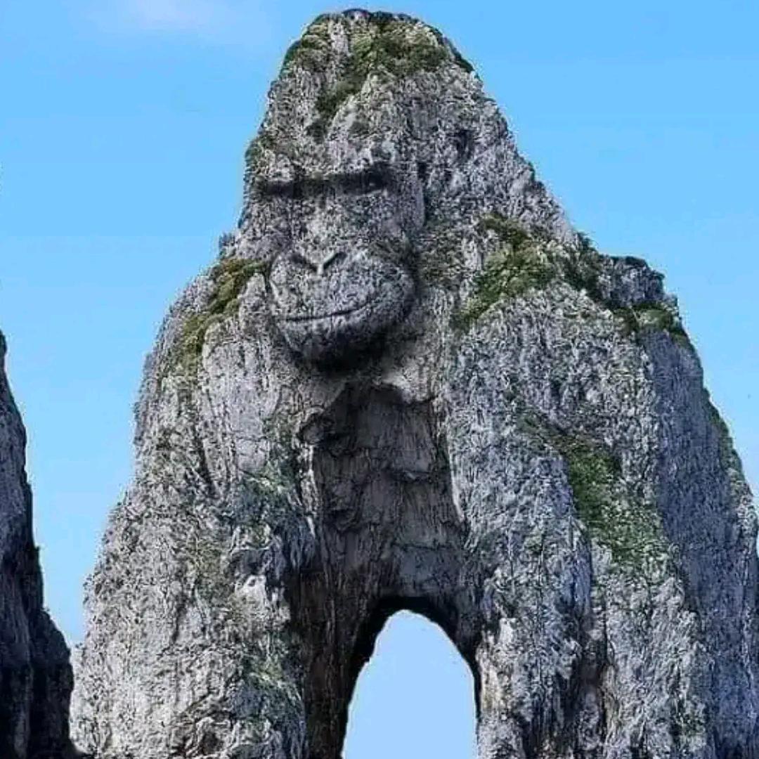 三宝的幸福生活