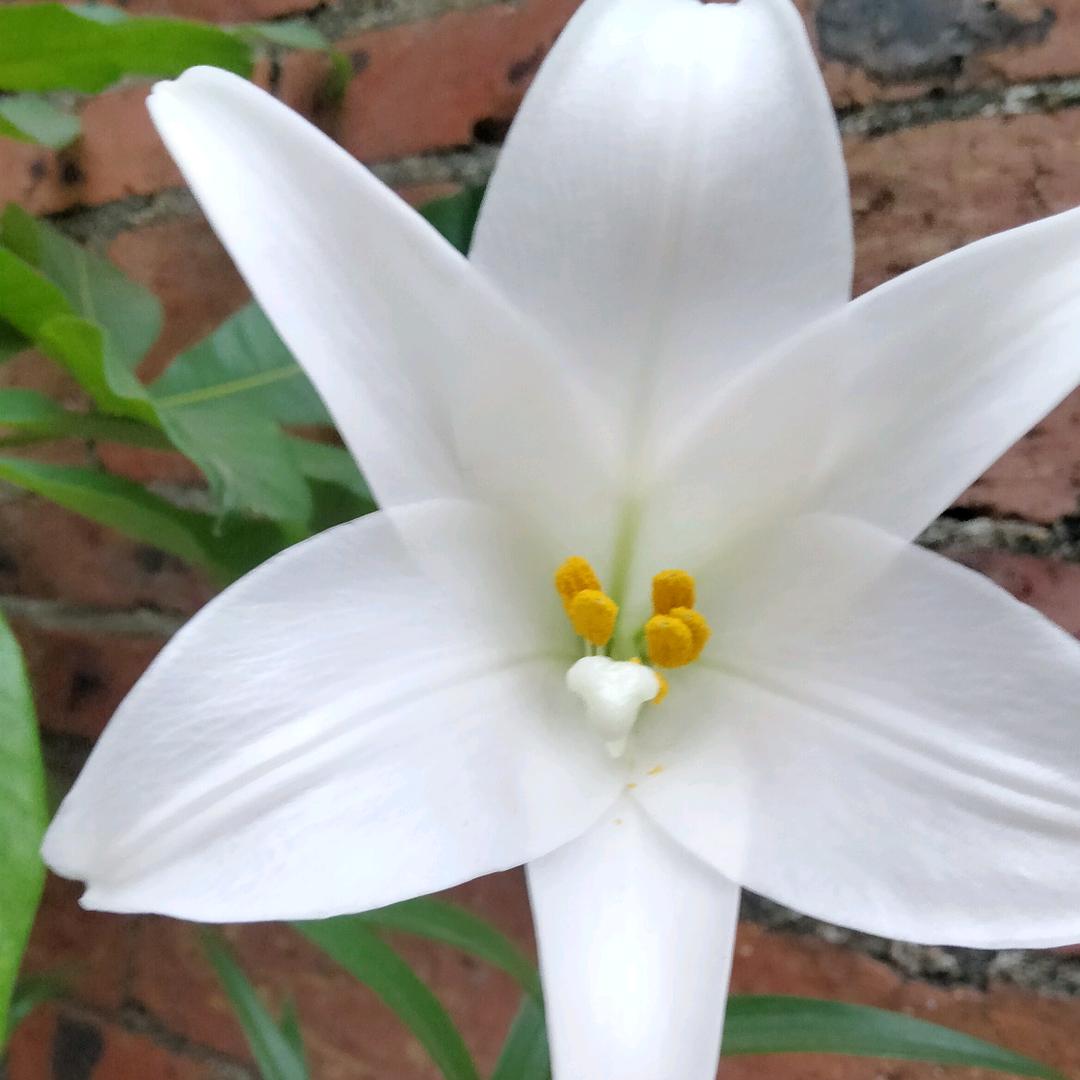 快乐无忧无虑💕