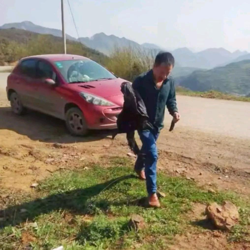 如无相欠，那来相见