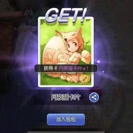 磕弟
