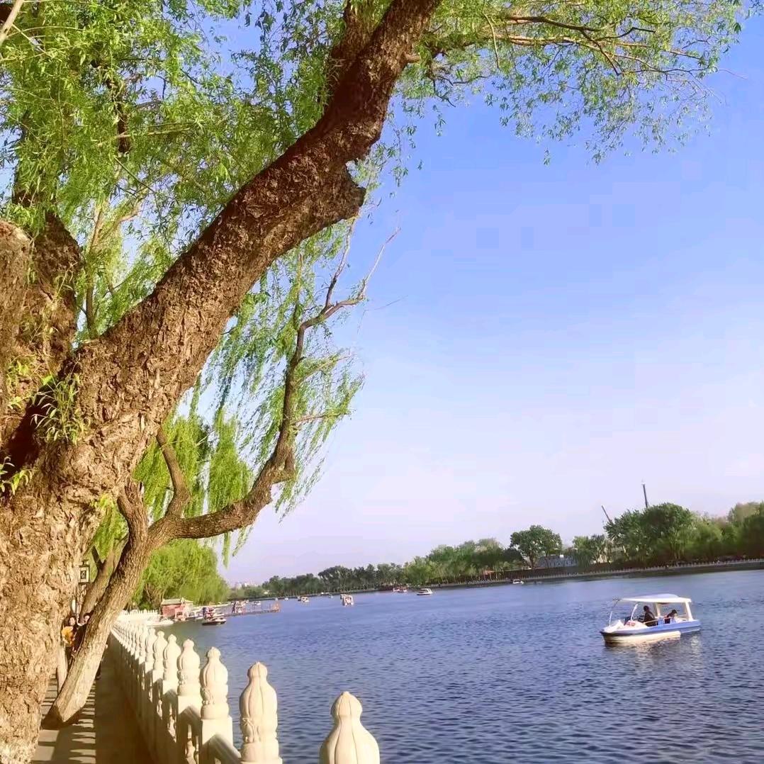 迁就你一生🌸