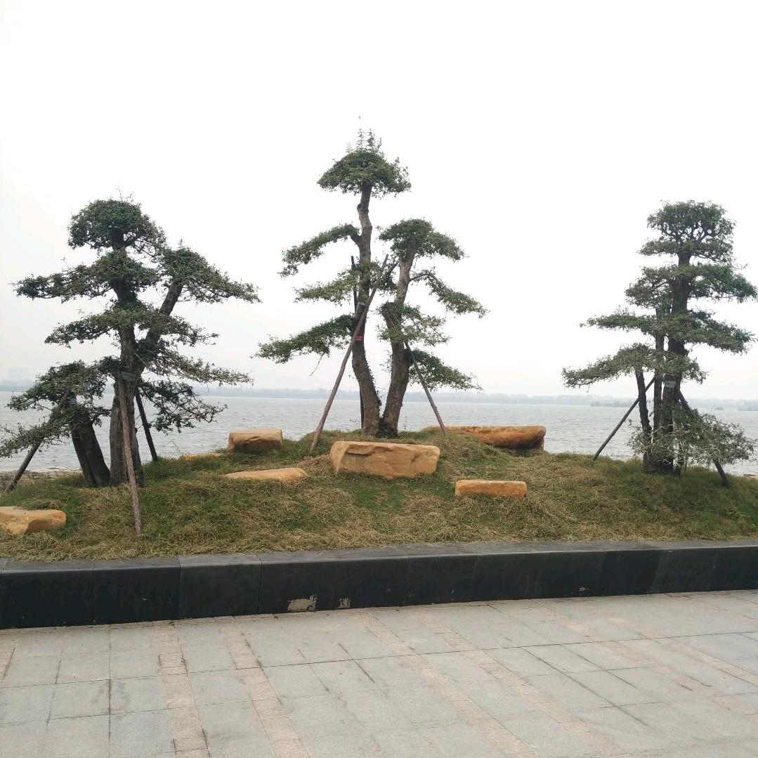 风雨中的浪