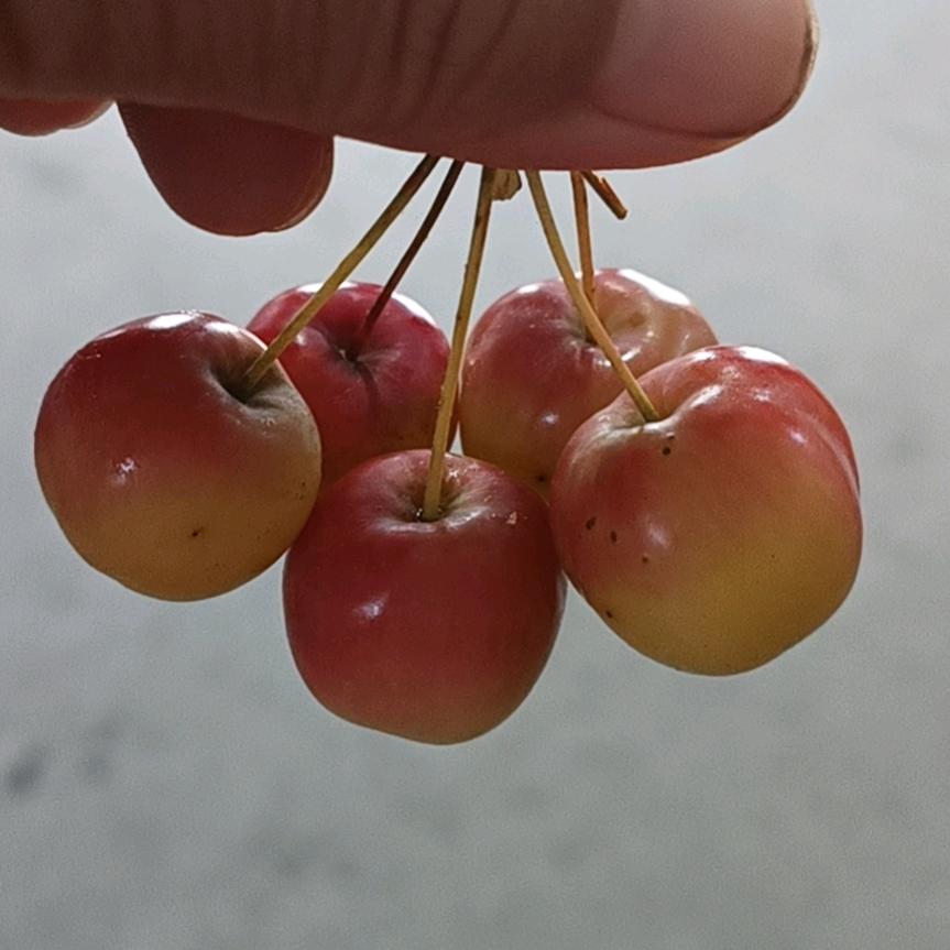 梦中的你好美
