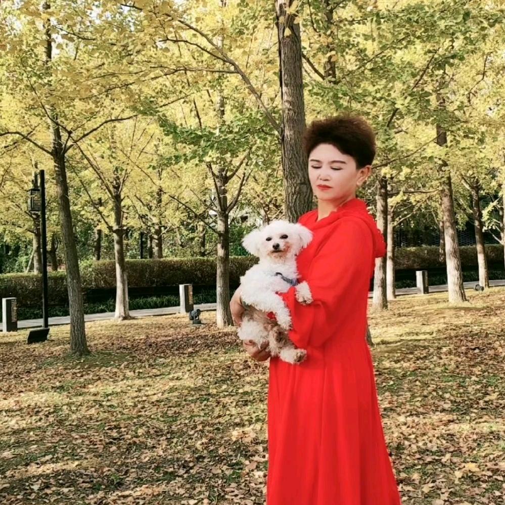 小仙女