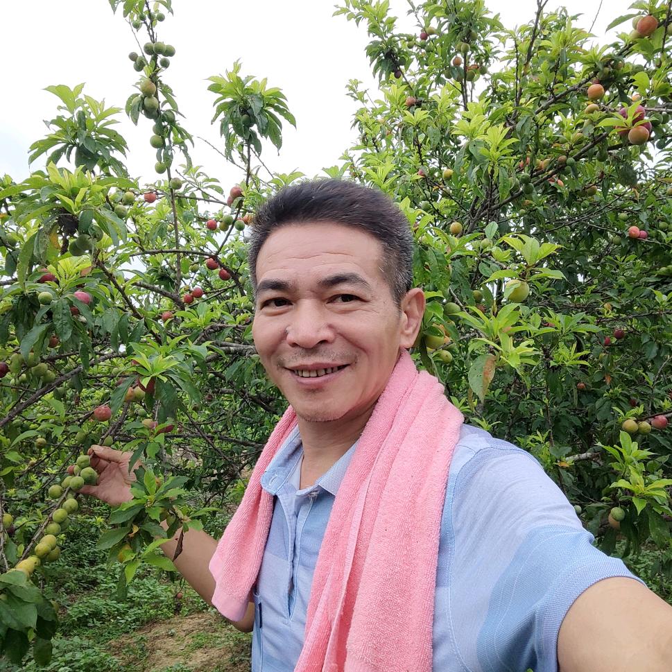 六六大顺(低碳环保志愿者)
