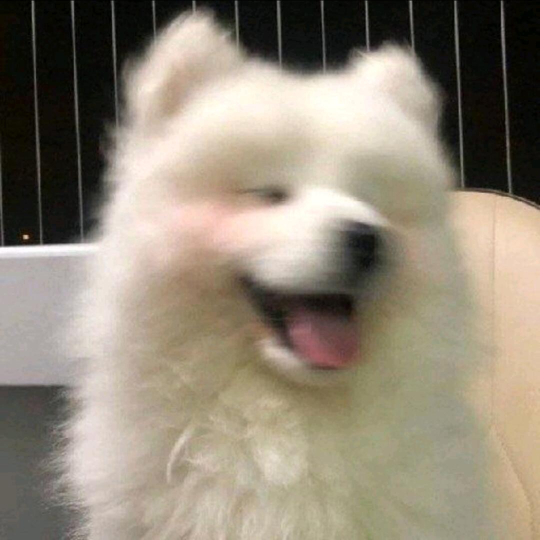 吧啦吧啦湫