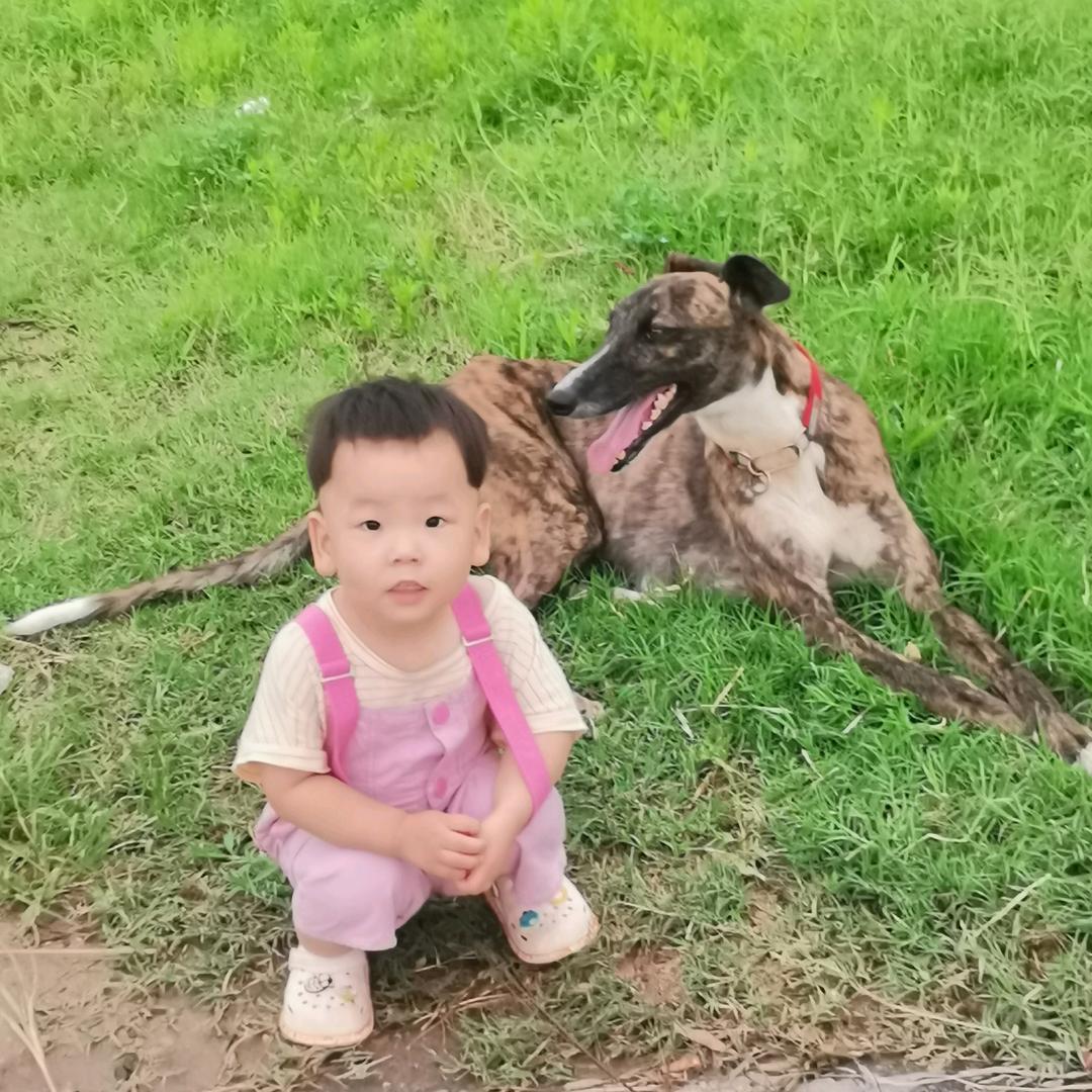 人生有些快