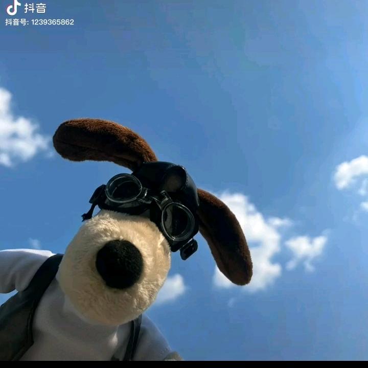 A-浪漫些许潦草