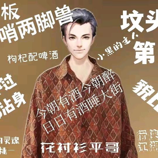 花衬衫平哥