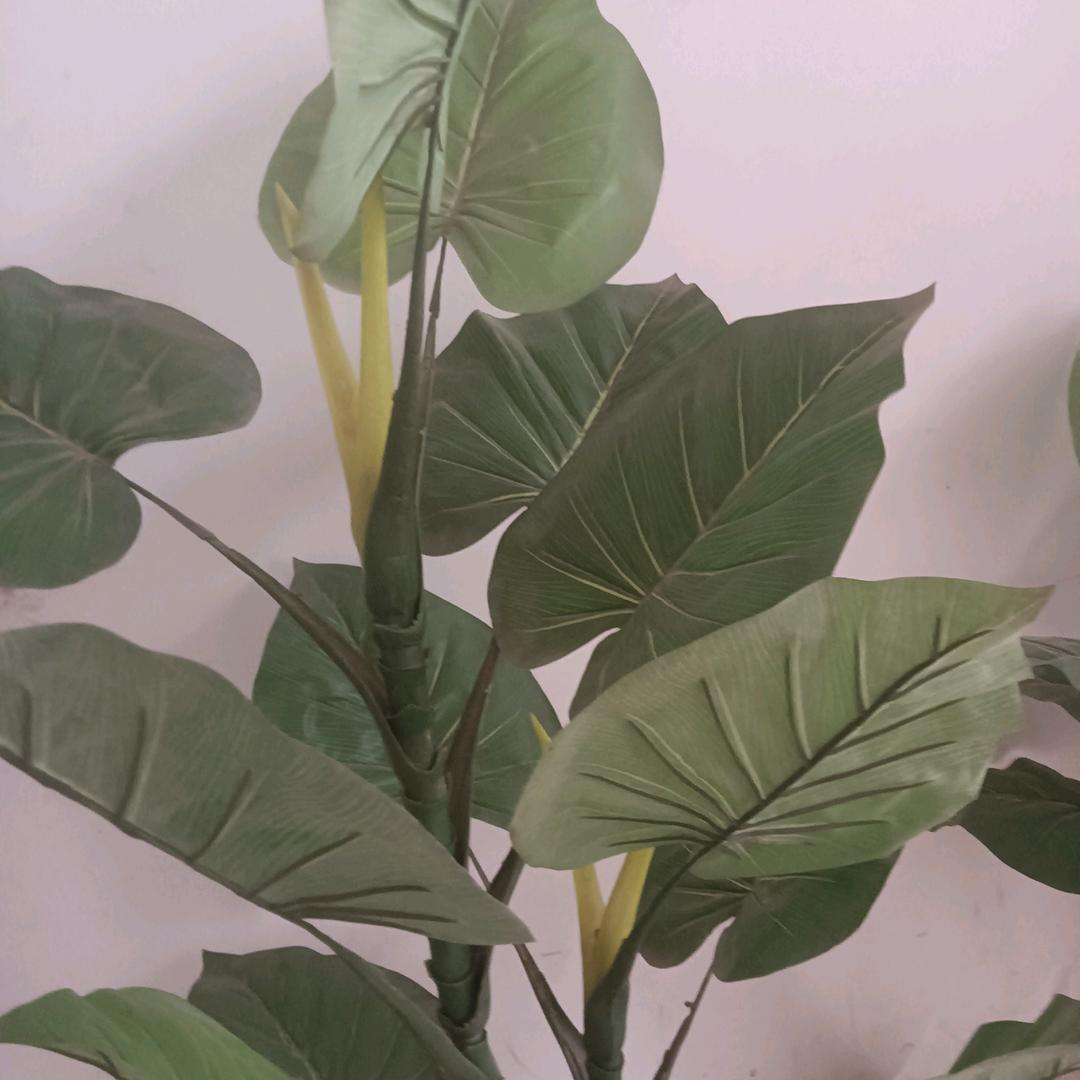 下乡包桌刘师傅