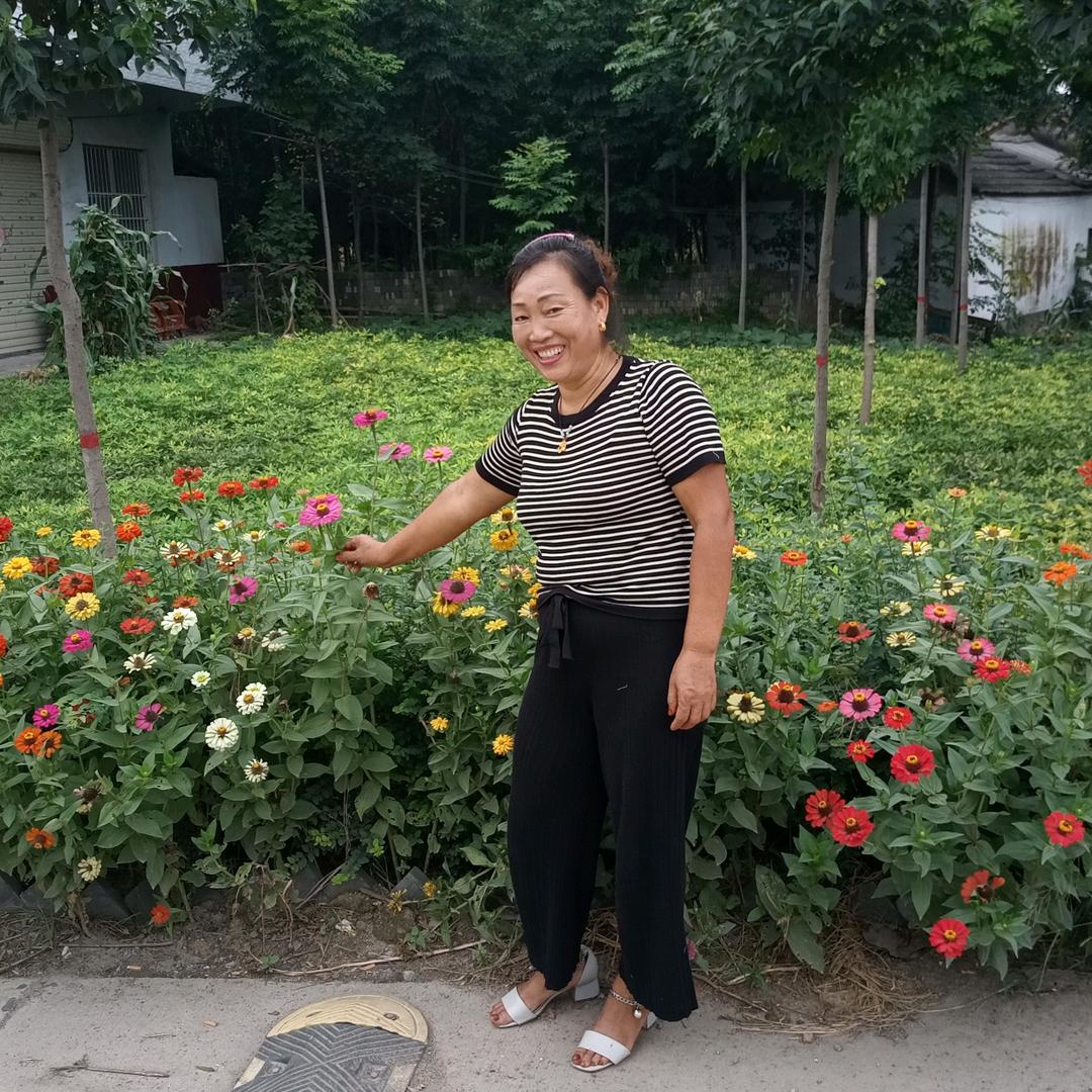 60后农村赵姐