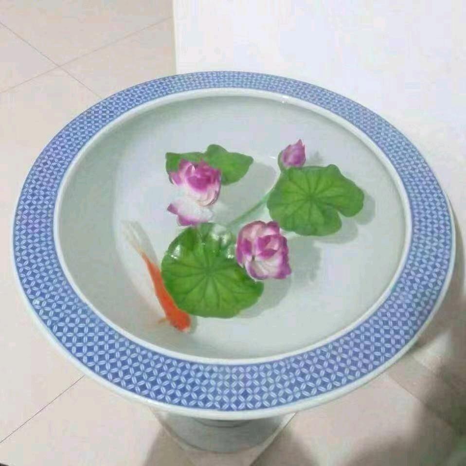 年，年，有，余