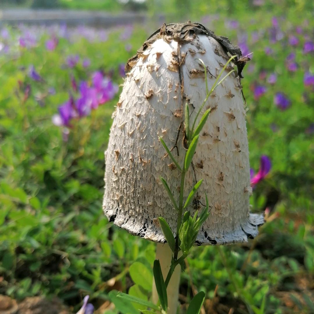 顺其自然