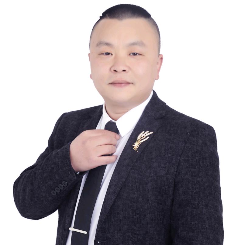 杨家将