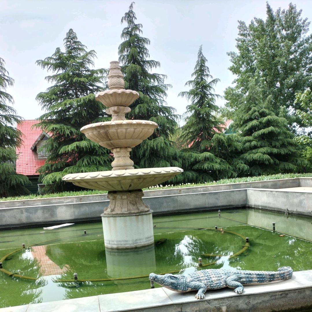 🌷快乐开心🌺🌹