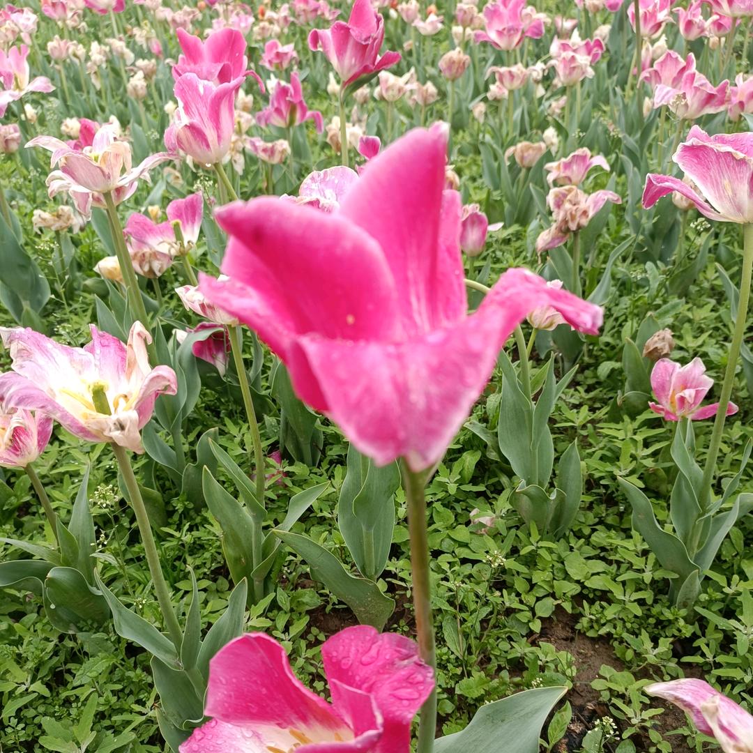 慧驰