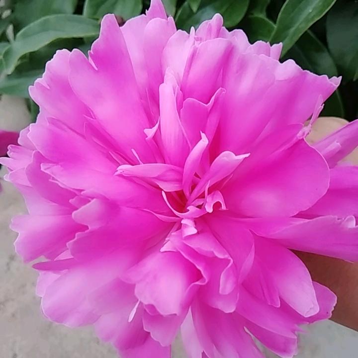 我想静静。