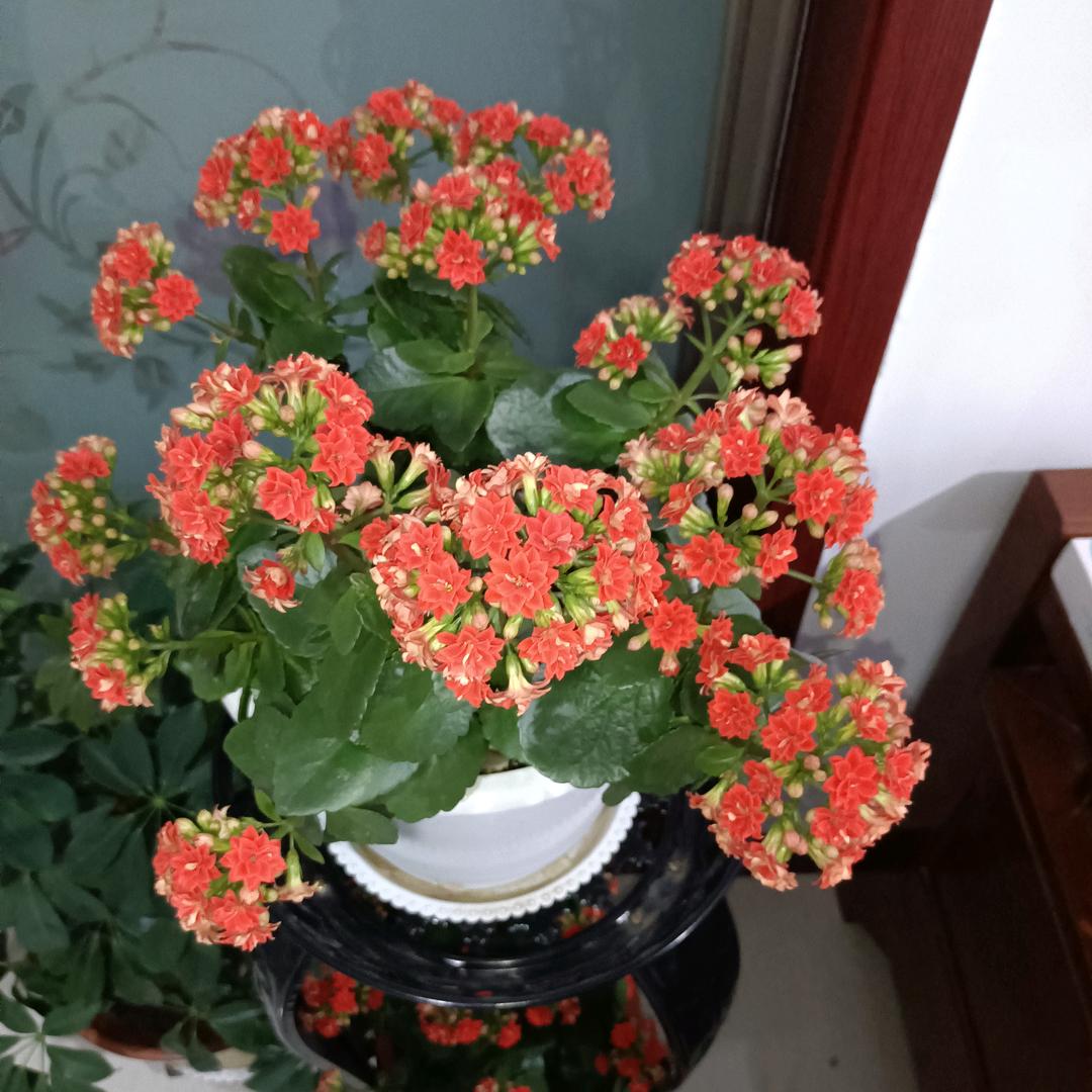 新荣