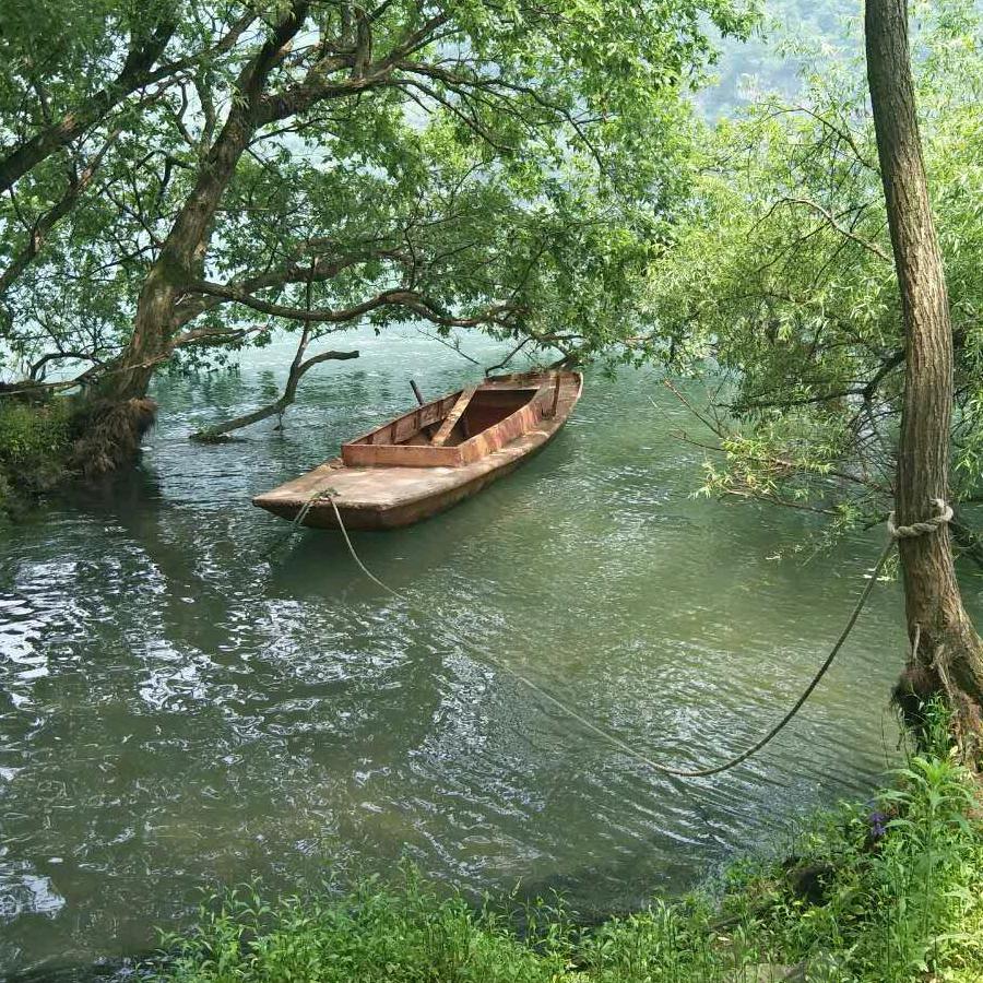 ❤️残酷的现实