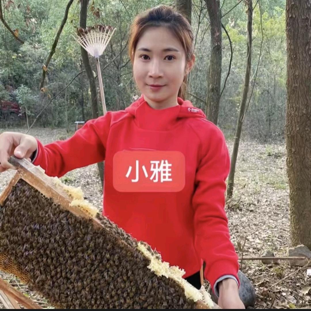 淳朴小雅