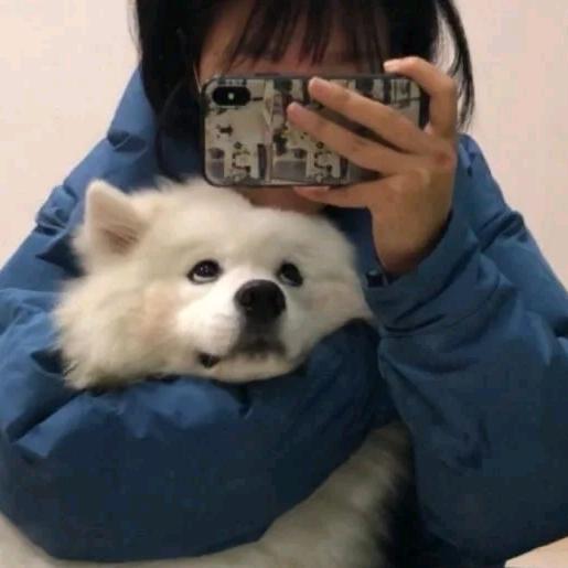 佳佳鱼ovo