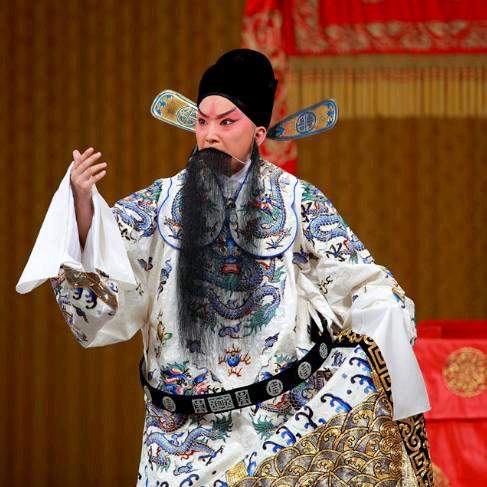 南柯先生