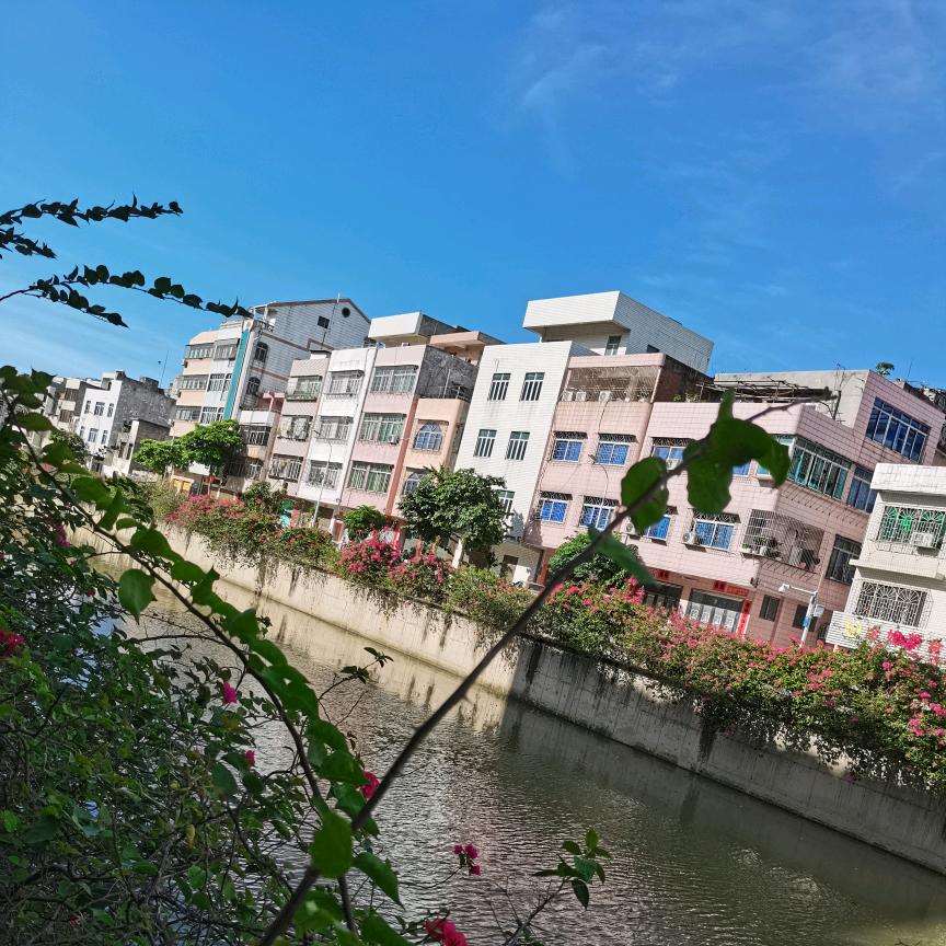 行云流水