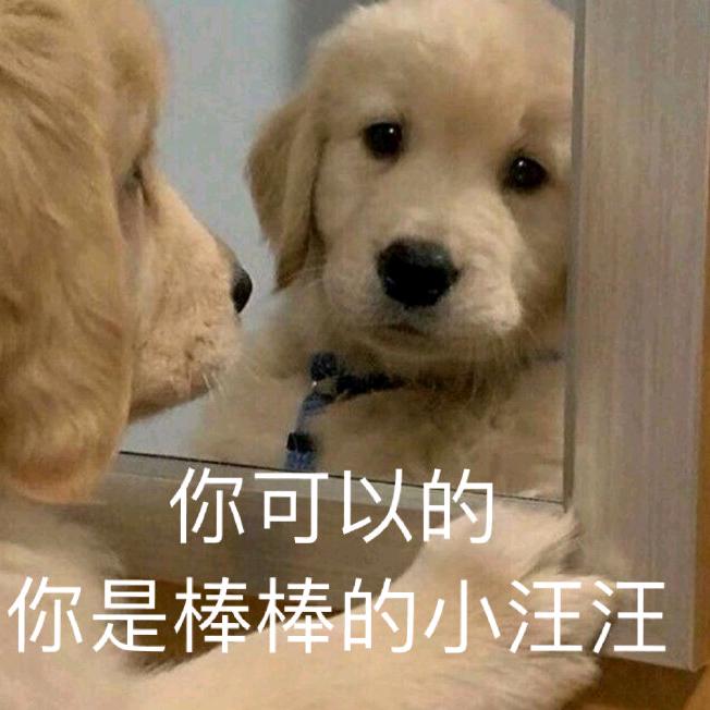 欧气香香