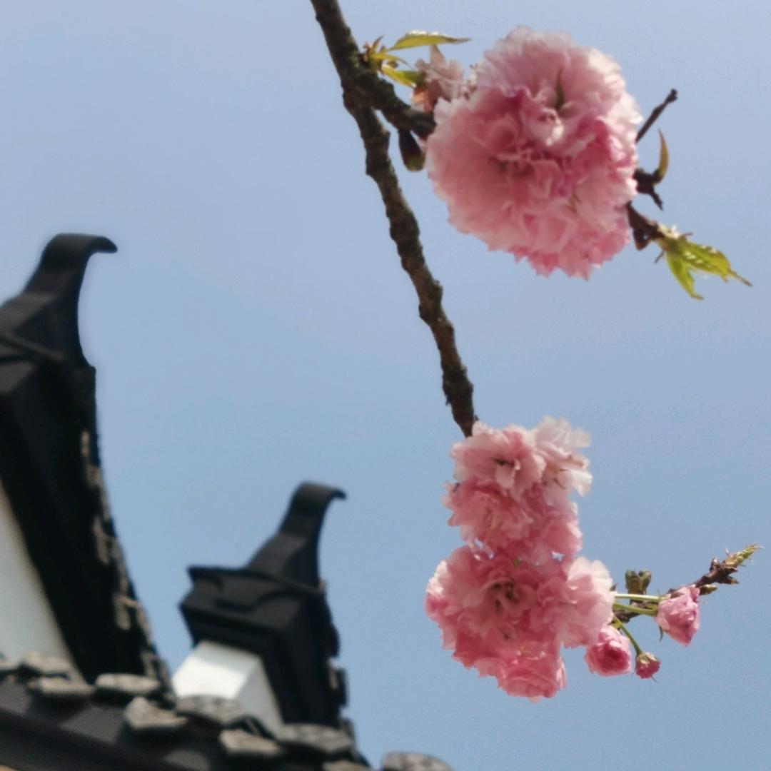 智慧