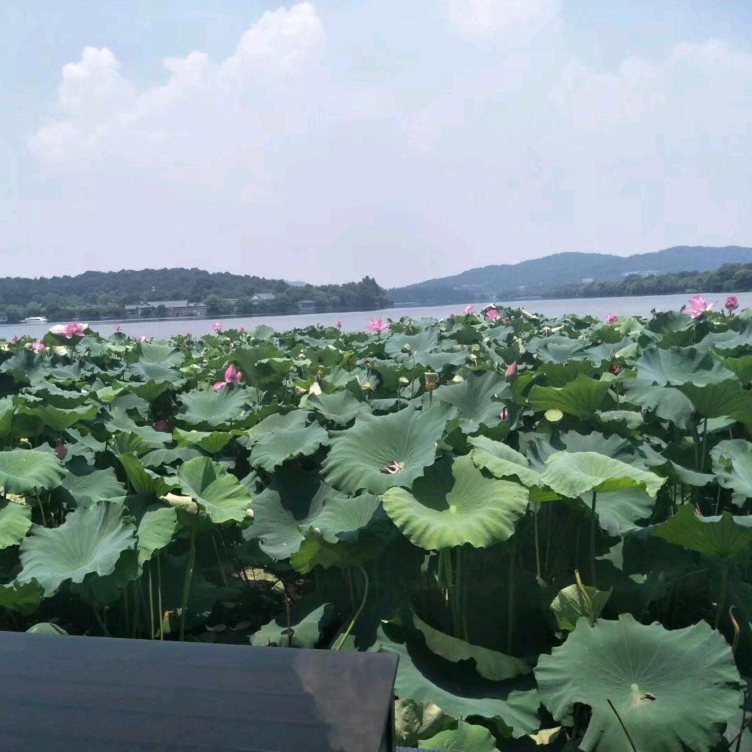 🌼青春有何不可