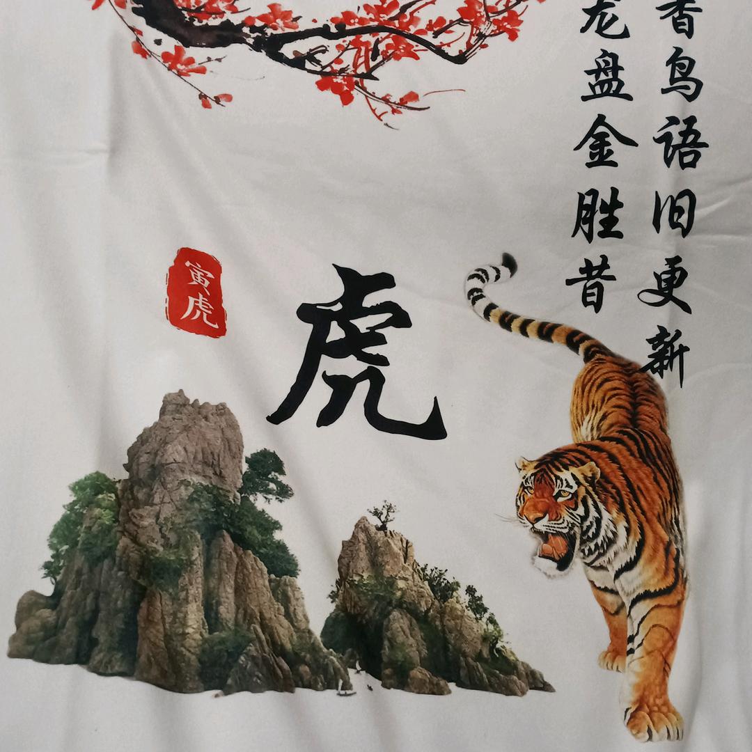 龙飞凤舞