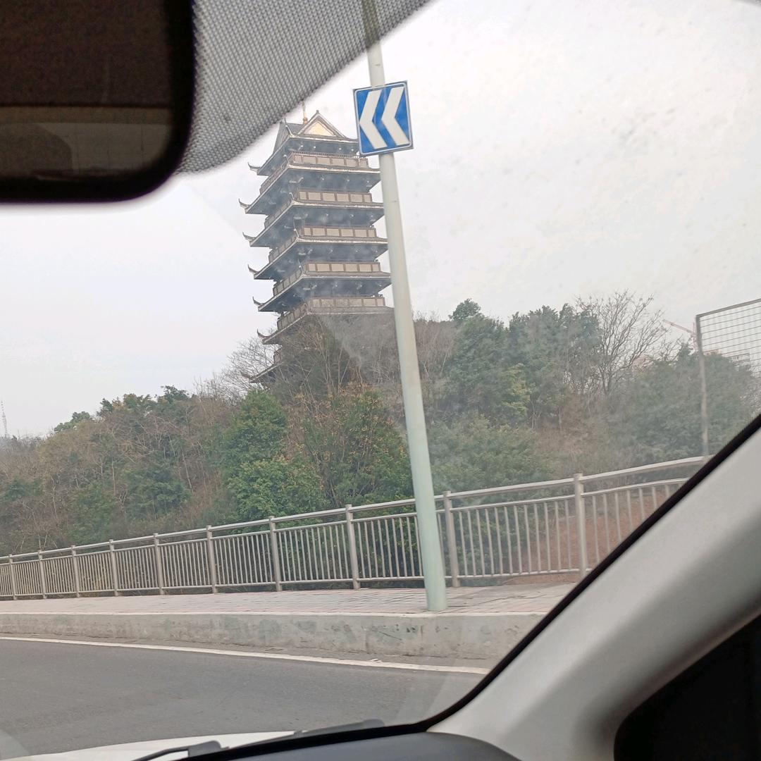 波哥哥