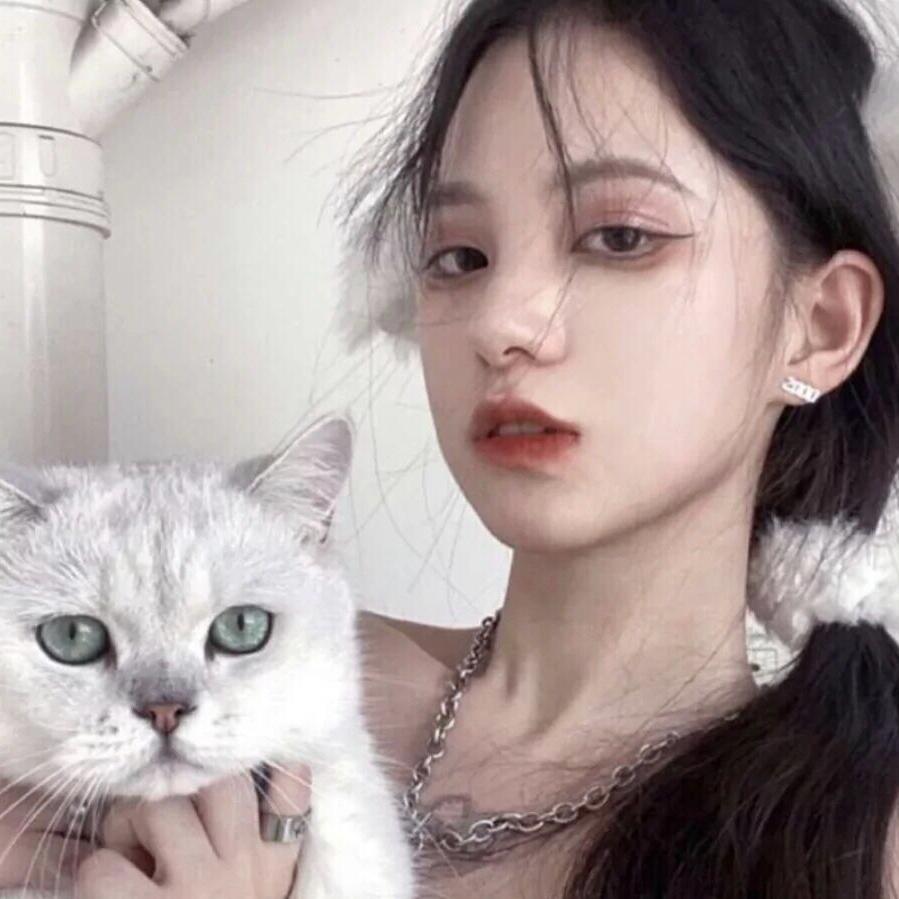 圆圆圆宵