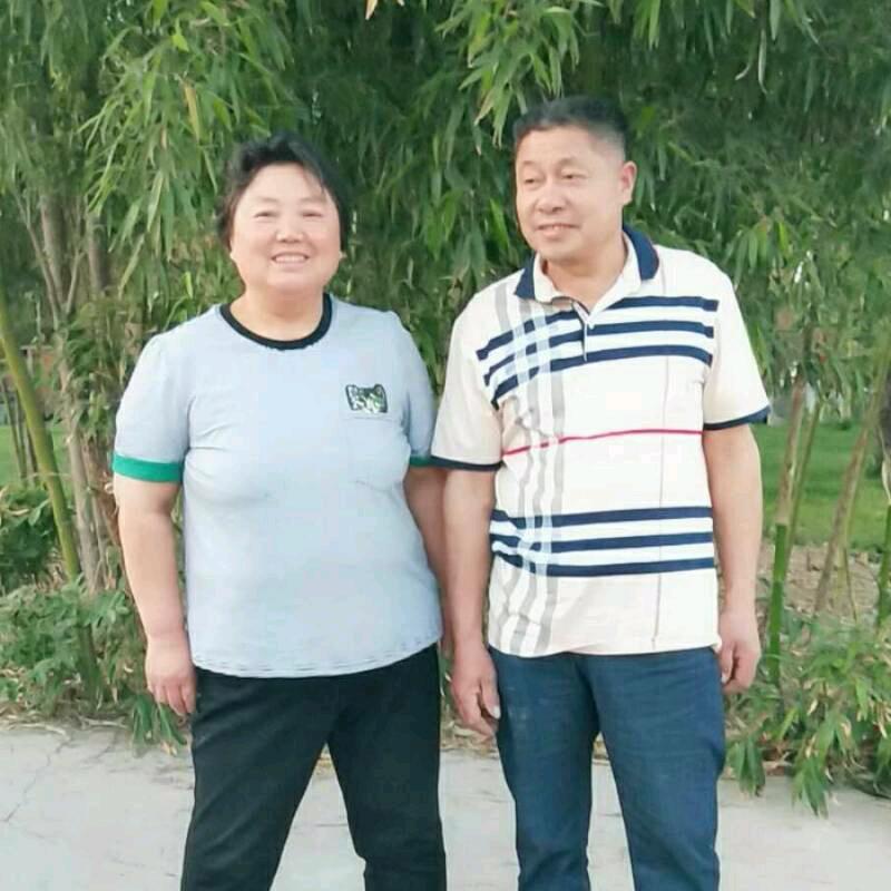 大型弹花机，免费消毒杀茵，批发新疆皮棉，