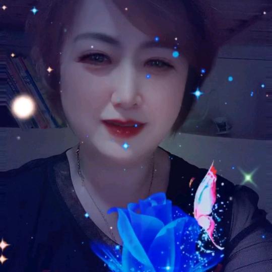 蔡兴会