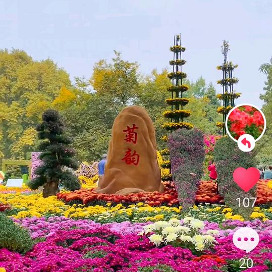 觧花正开