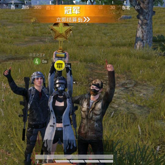 复仇者，杀杀杀