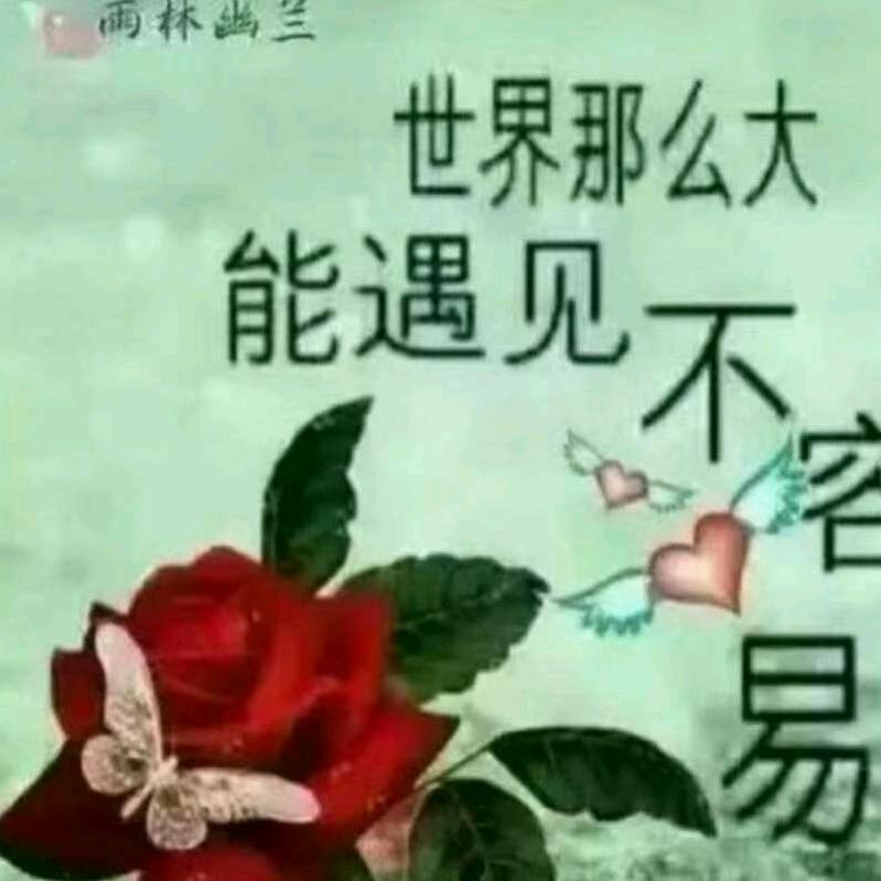 红尘锅