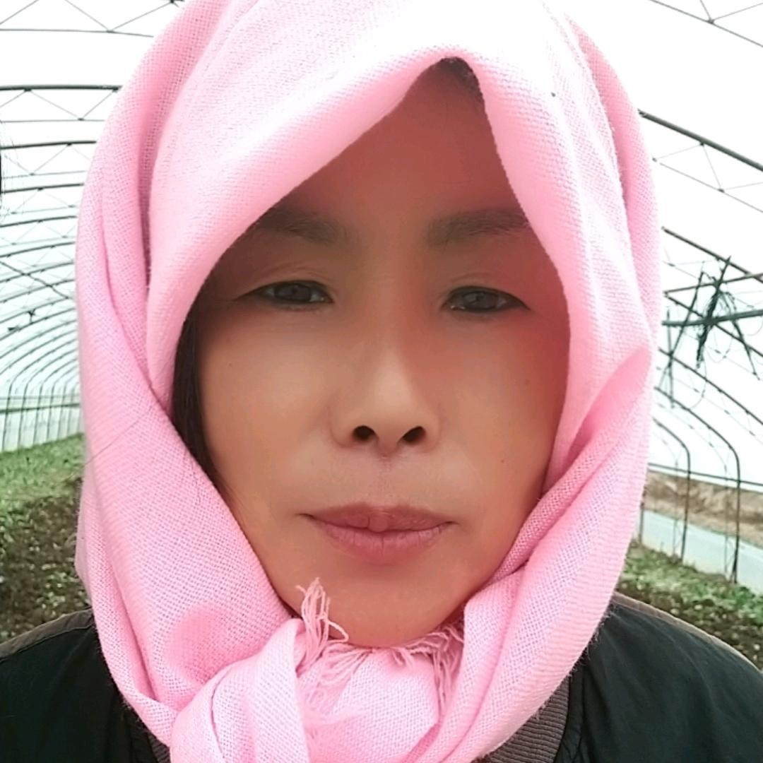 农村的李毛糕